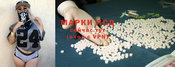 СК Горнозаводск