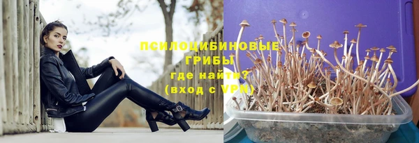 винт Горно-Алтайск