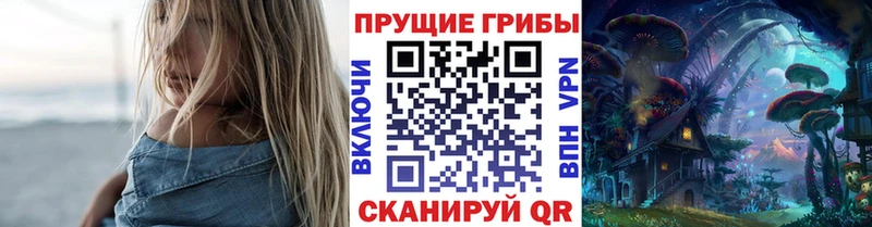 блэк спрут ссылки  закладка  Черемхово  Галлюциногенные грибы Psilocybe 