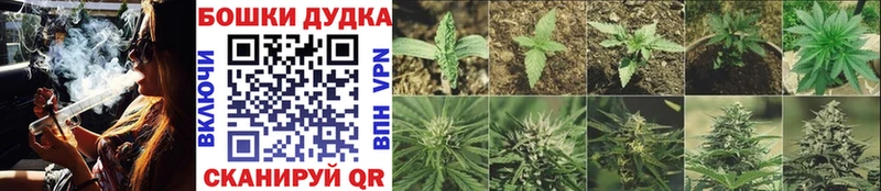 Марихуана OG Kush  купить наркотики сайты  Черемхово 